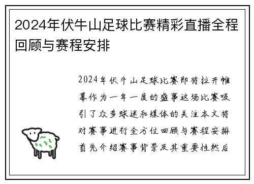 2024年伏牛山足球比赛精彩直播全程回顾与赛程安排